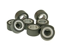 Variomatikgewichte Polini 19X15,5Mm - 5,8G