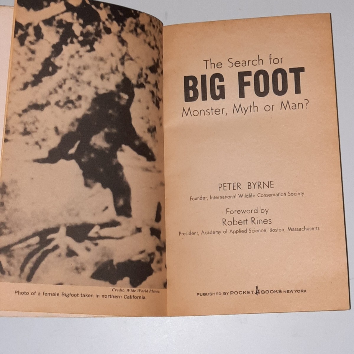 洋書 The Search for Bigfoot by Byrne The Search for Bigfoot (Monster, Myth or Man?): Peter Byrne