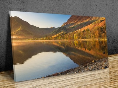 Buttermere Sentinel Pines Wall Art | Misty Lake District Canvas Print