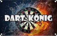 Blechschild 20X30 Cm Darts Dart KöNig Sport Hobby Deko Geschenk Metall Schild