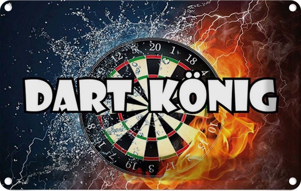 Blechschild 20X30 Cm Darts Dart KöNig Sport Hobby Deko Geschenk Metall Schild-image