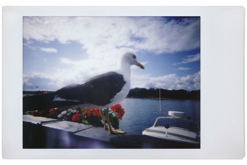 Lomography Lomo'Instant Instax Mini fotocamera pellicola istantanea + set combinato 3 obiettivi - Foto 7 di 21