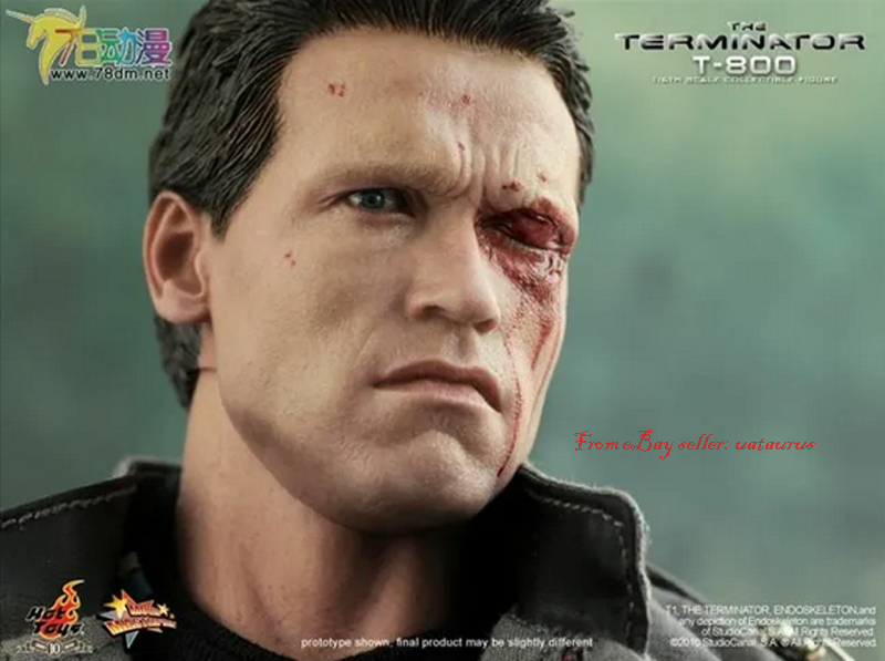 Perfect HotToys 1/6 Mms136 The Terminator T-800 In Stock New | eBay