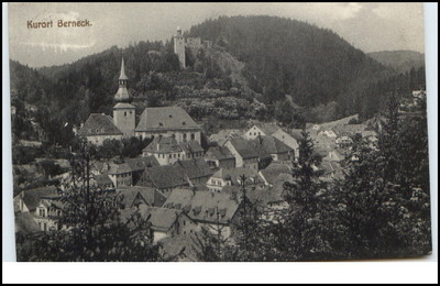 Berneck Bayern AK ~1910/20 gelaufen Teilansicht Wald Verlag Ferdinand Albert