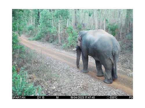 Spartan Gocam 4G LTE Trail Camera, Verizon Certified, Remotely Update Camera ... - Picture 9 of 9