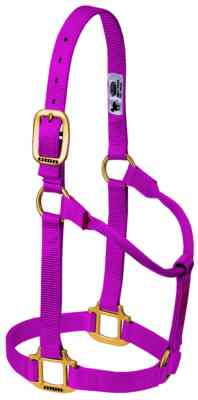 Weaver Leather Original Non-Adjustable Nylon Horse Halter, Small, Colors