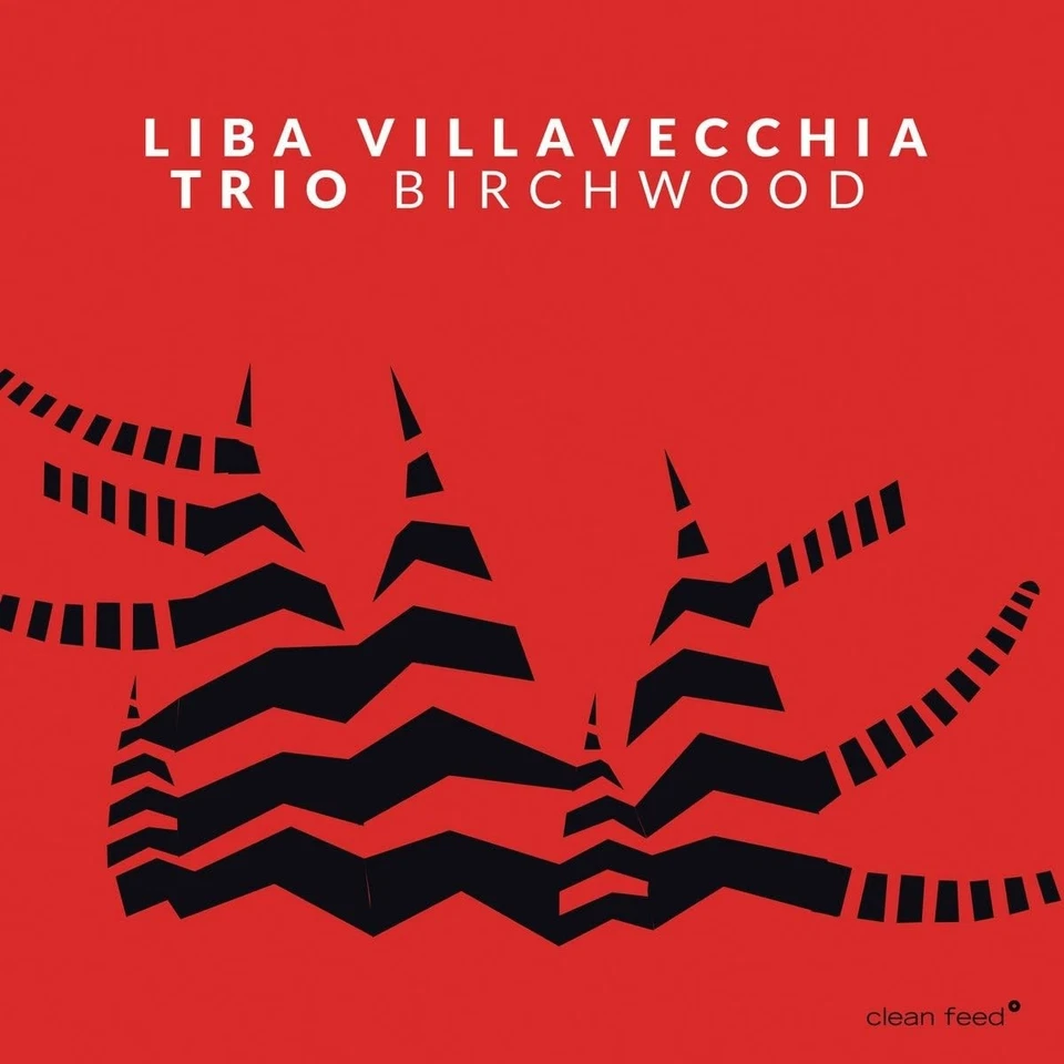 Liba Villavechia Trio Birchwood (CD) - Photo 1/1