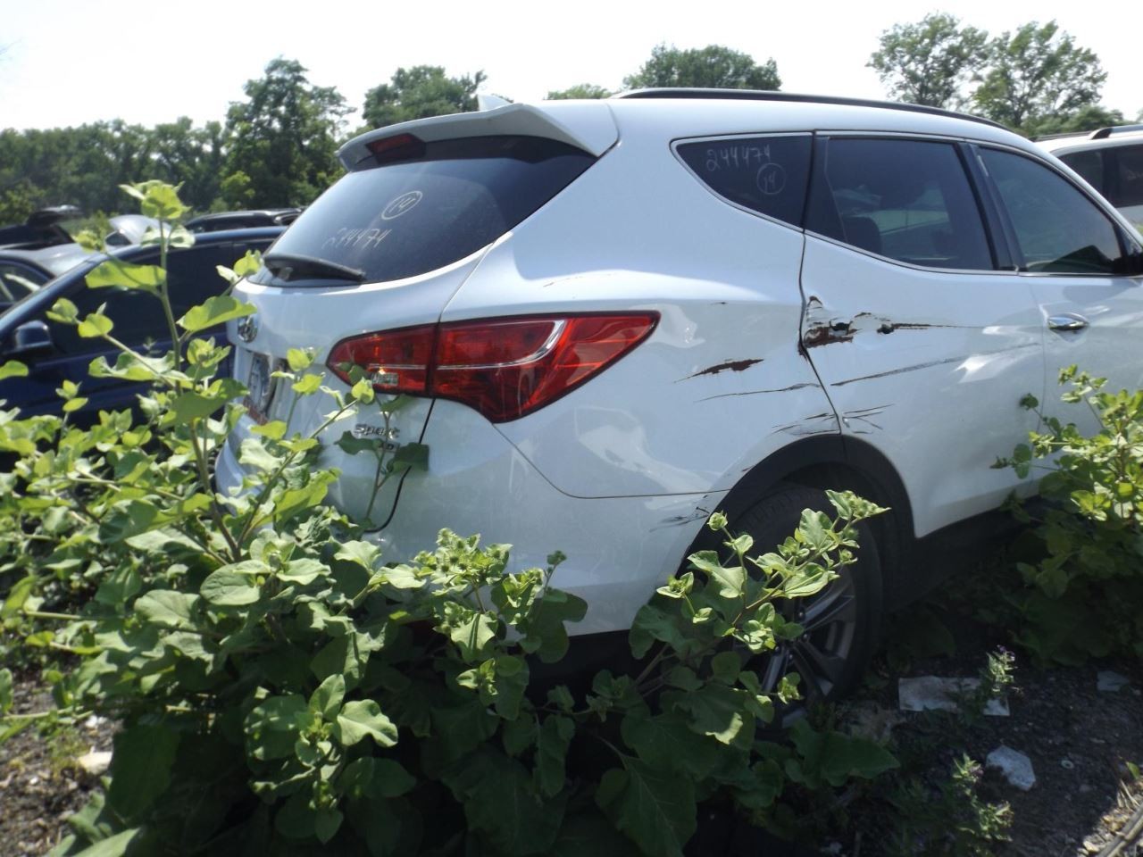 Driver Left Front Door LWB Fits 13-19 SANTA FE 1643982
