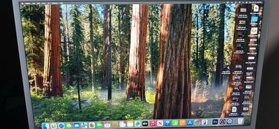 Apple iMac 24'' M1 (2021) Silver 8GB RAM 256GB SSD Adapter/Magic Mouse/Keyboard 