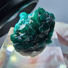 Rara Dioptas XX livello, verde Repubblica del Congo 20*18*9mm