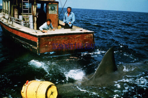 JAWS GREAT OF ROBERT SHAW AND RICHARD DREYFUSS - Photo 1/1