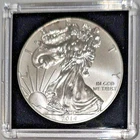 2014 American Eagle,  UNC MS, 0.999 Fine Silver 1 Oz Dollar, FREE SHIPPING