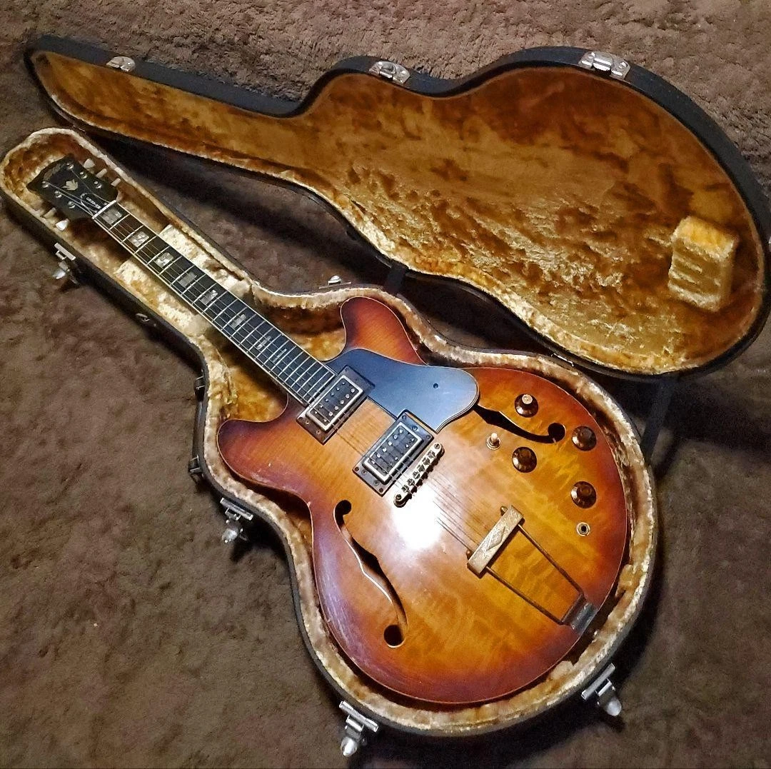 Guitarra semiacústica rara Elk SAG-540 Sunburst USADA