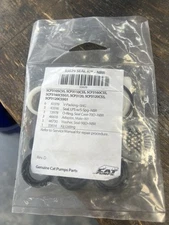 33629 BE CAT PUMPS SEAL KIT FOR 5CP3120 / 5CP3120G1