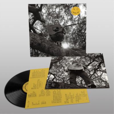 Ty Segall Hello, Hi (Schallplatte) 12'' Album