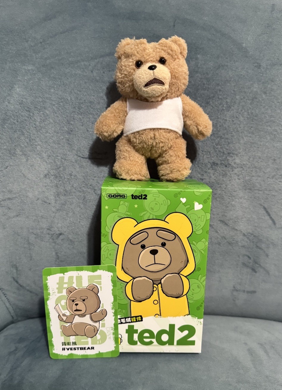 Pop Mart TED 2 Teddy Bear Action Plush Pendant Opened Blind Box - Vest