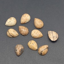 50pcs 6x8mm Natural Picture Stone Teardrop CAB CABOCHON DIY Jewelry Making