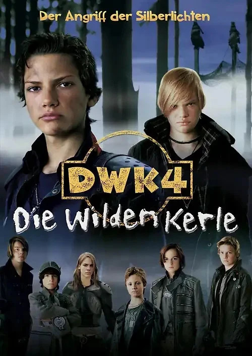 Die Wilden Kerle 4 (DVD) - Bild 2