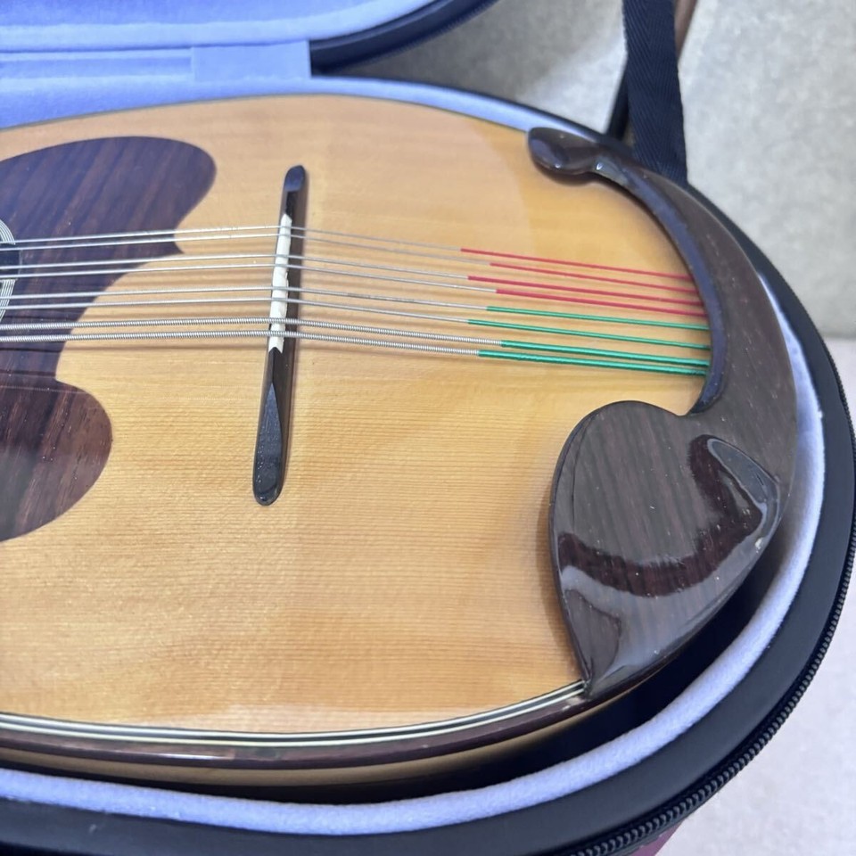 [Extremely Good Condition] SUZUKI Violin Mandola MD-8 String Instrument ...
