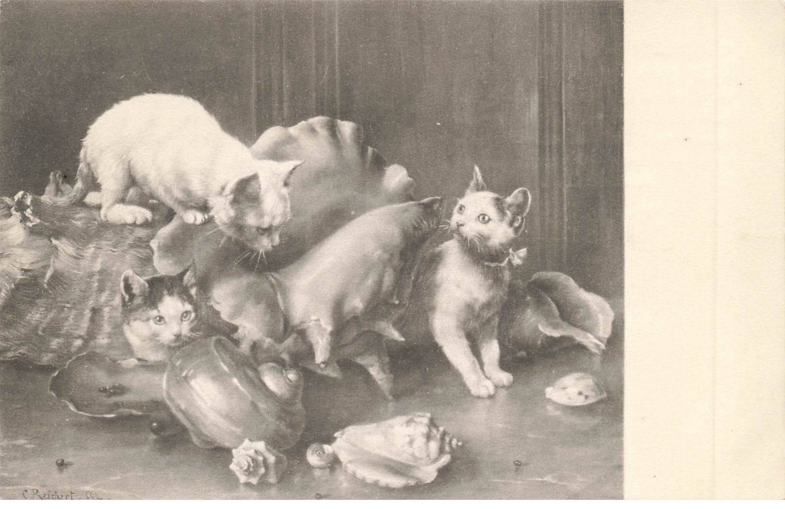 GATOS AC#MK904 GATOS Y CONCHAS GIGANTES