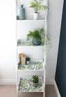 Bild 22 von 23