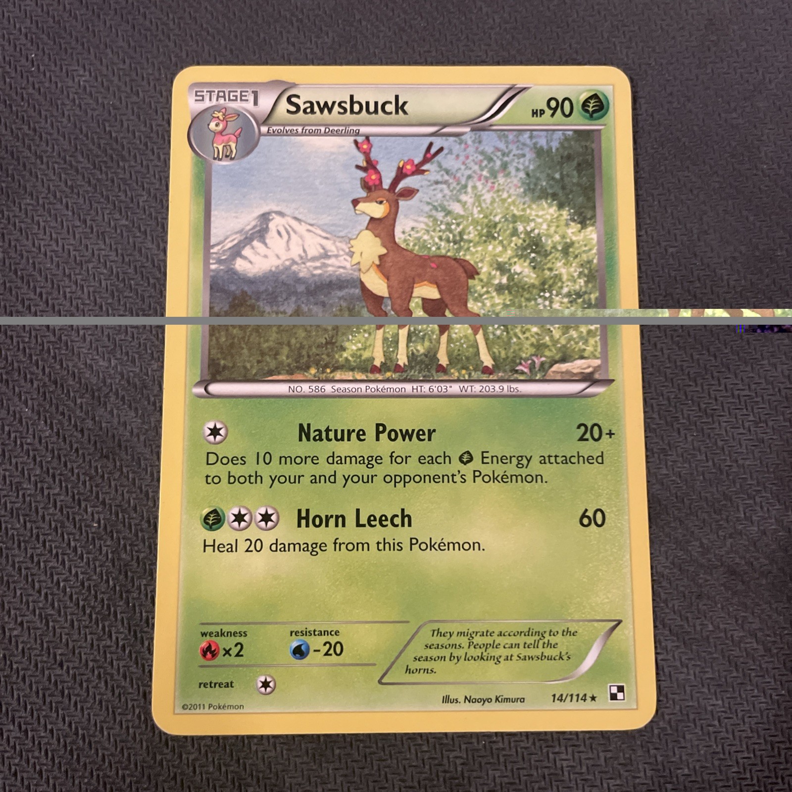 Sawsbuck 14/114 Pokemon Black & White Rare 2011 LP