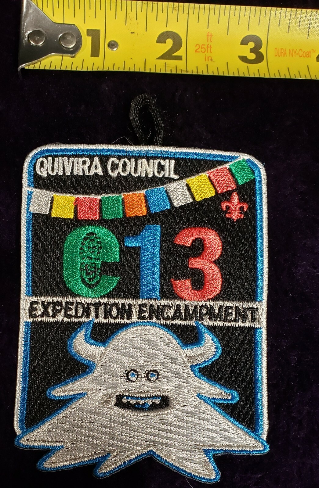 Picture 50 of 59