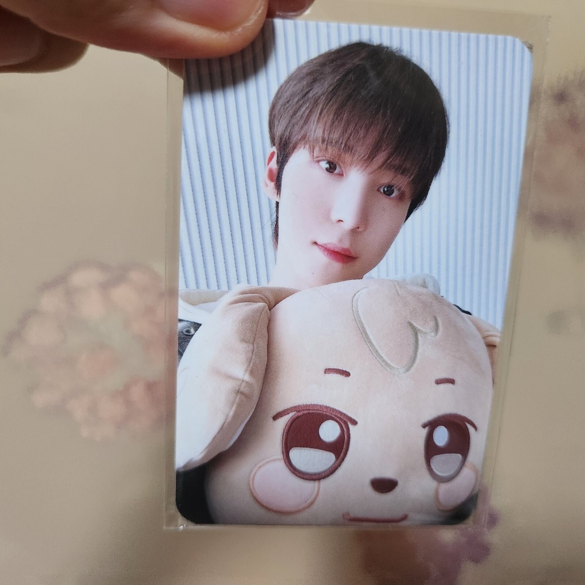 ATEEZ FACE CUSHION PHOTOCARD POPUP ANITEEZ IN ICE CITY | eBay
