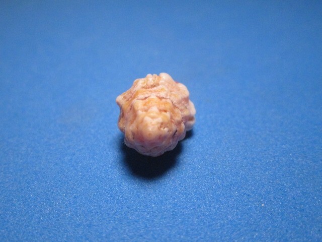 Picture 4 of 6