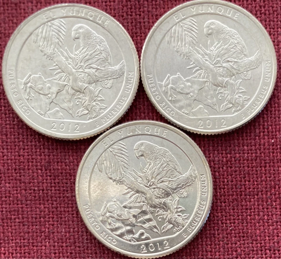 2012 BU Puerto Rico El Yunque P/D/S National Parks Quarters - Lot of 3 - Image 4 of 4