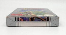Castlevania Nintendo NES Hangtab 🏆 Sammler 🏆