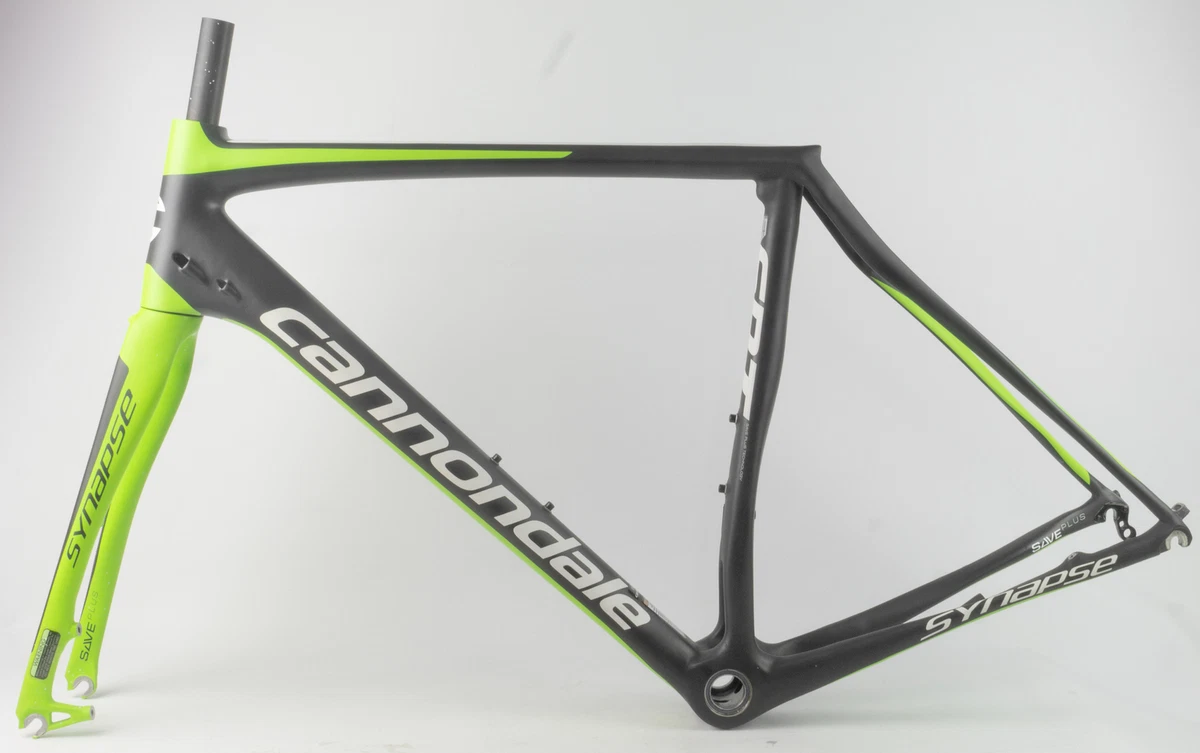 Synapse frameset sale