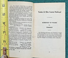 1919 Toledo & Ohio Central Railway Firemen Regulation US Railroad Administration — photo 3