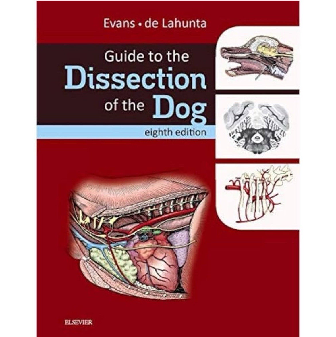 Guide to Dog Dissection by Evans and de Lahunta 8th Edition
