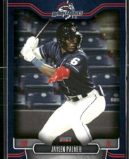 Jaylen Palmer 2024 Binghamton Rumble Ponies Team Set