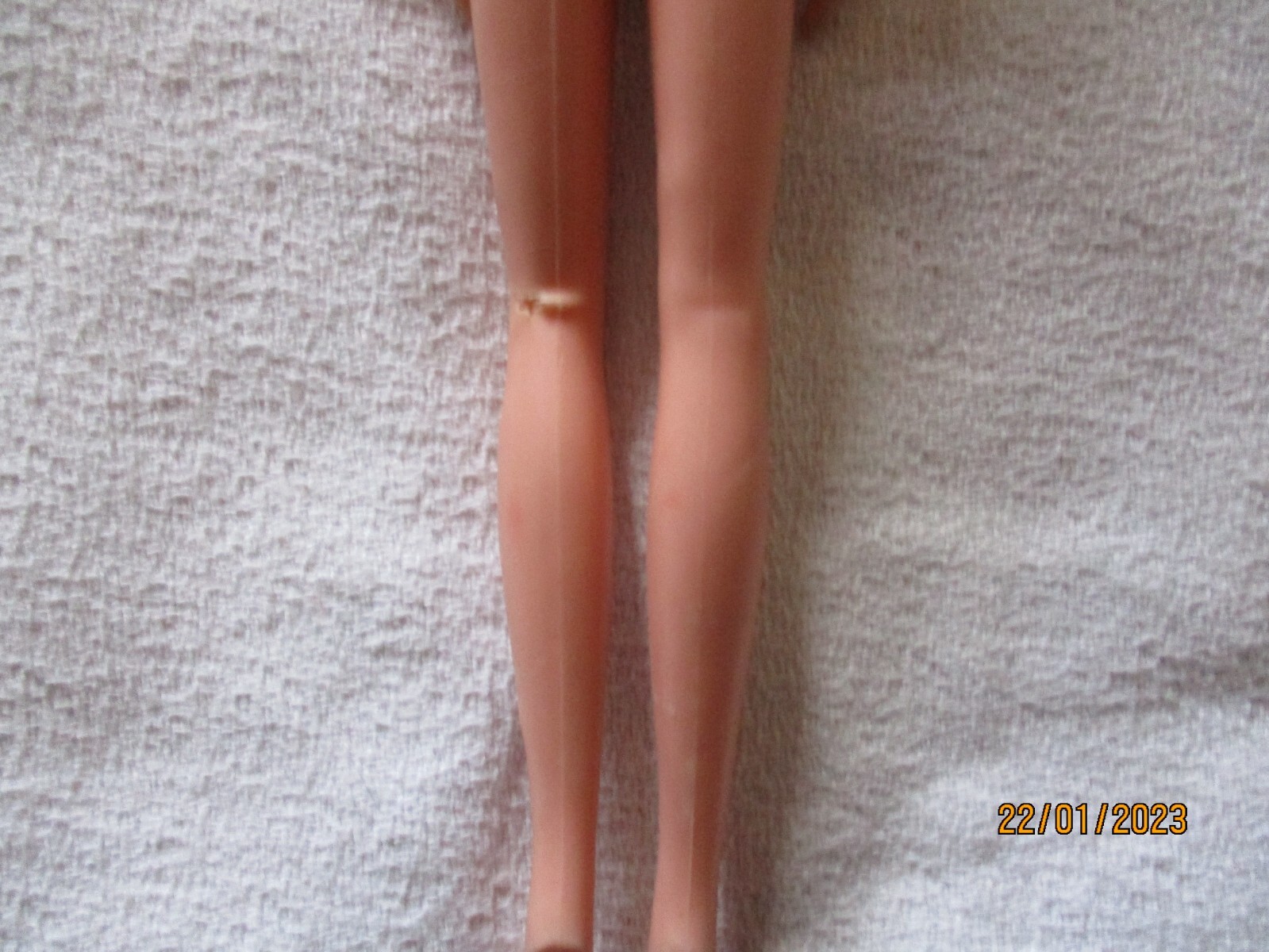 Foto 6 di 6