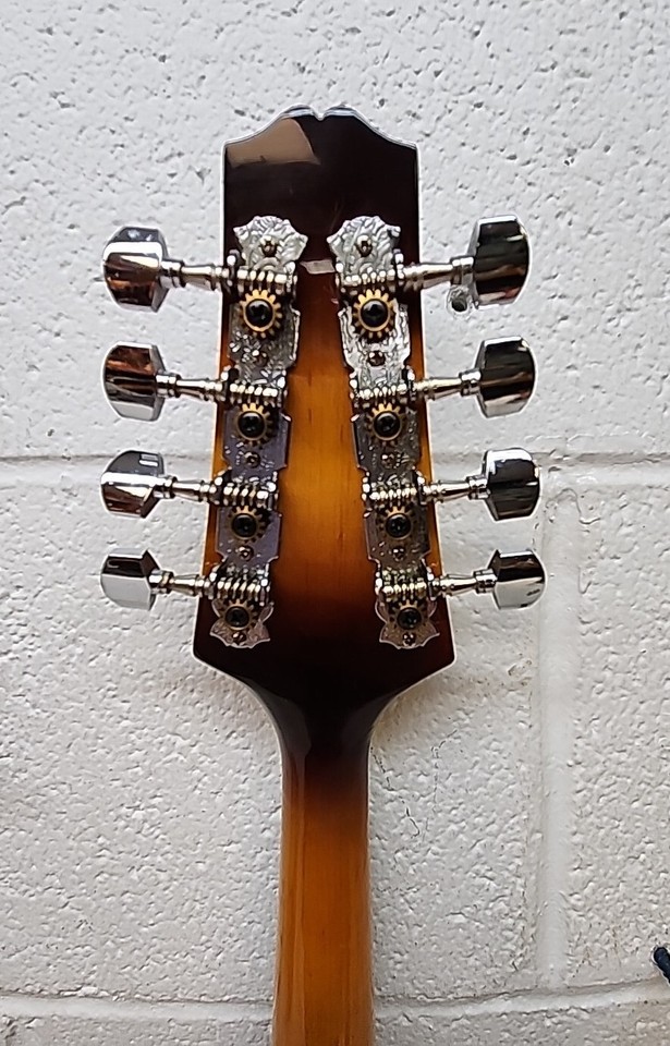 Mint Condition Johnson Oval Hole Mandolin MA100 with Hard Case (SR) eBay