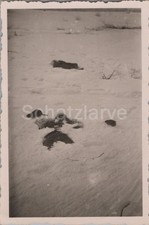Foto, Wolchow Kessel, Russen bei Schneeschmelze Sawlowo, Russland 1942, (MJ-129)