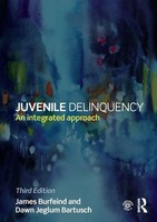 Juvenile Delinquency An Integrated Approach James Burfeind (U. A.) Taschenbuch