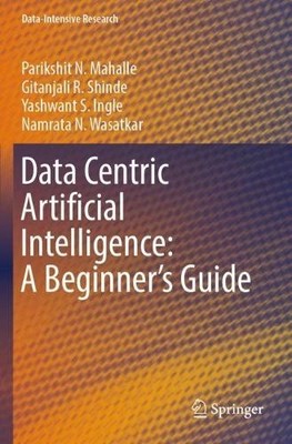 Data Centric Artificial Intelligence: A Beginners Guide - 9789819963553