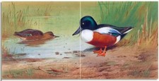 Tile Mural Ducks on The Edge of a River Kitchen Shower Backsplash Marble Ceramic