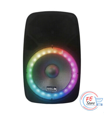 professional wireless speaker system