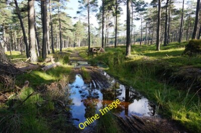 Foto 6x4 Schlammige Strecke, Glen Banvie Wood Bruar Dieser Streckenabschnitt w c2014
