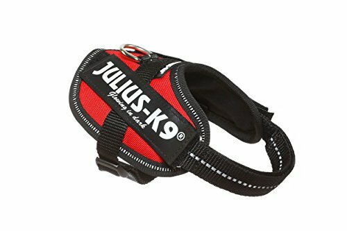 julius k9 harness baby 2