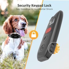 Dog Training Collar Remote IPX7 Beep Vibration Rechargeable Waterproof Trainer