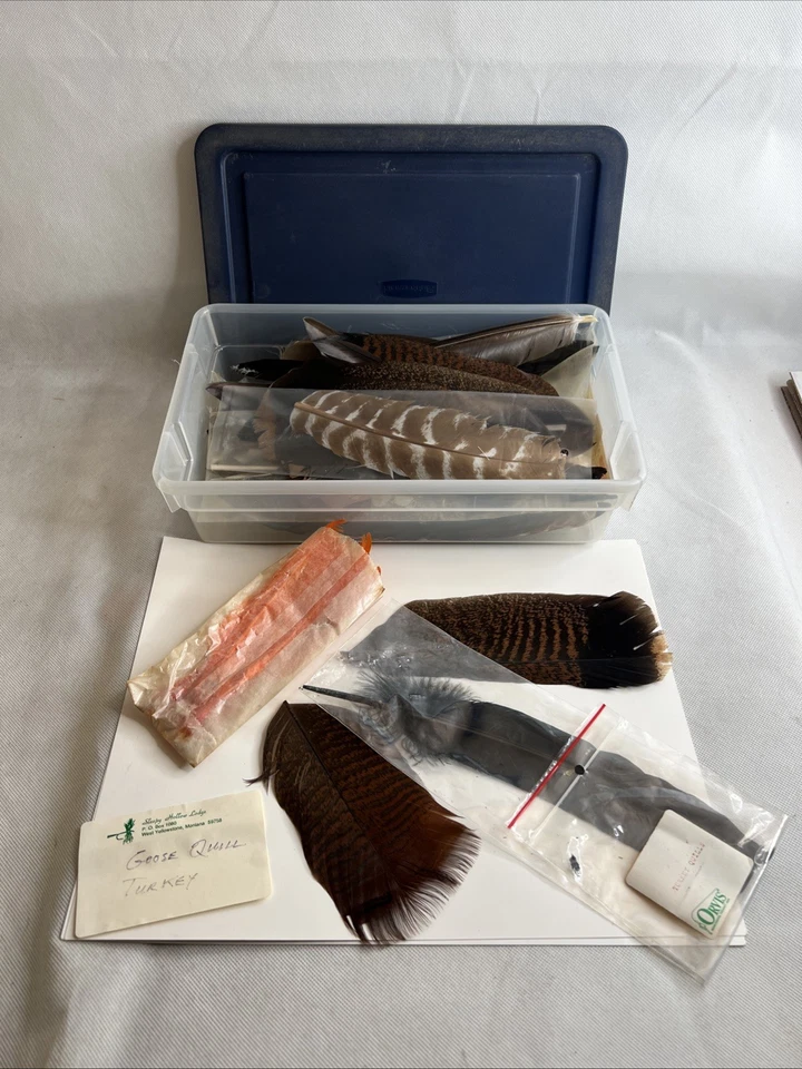 Lote De Colección De 40 Materiales Para Atar Plantilla Mosca XL Ganso Pavo Pluma Pesca Foto 2 de 4