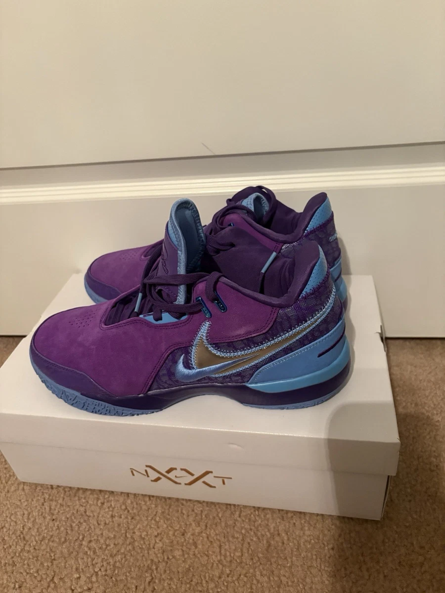 Nike Zoom LeBron NXXT Gen AMPD EP Summit Lake Hornets for Sale