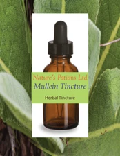 MULLEIN TINCTURE, 2 Oz Bottle w/Dropper, Verbascum thapsus, Liquid Extract
