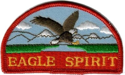 P3060 - EAGLE SPIRIT - Patch