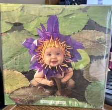 ANNE GEDDES PHOTO ALBUM-BRAND NEW 37 PAGES HOLDS 74 Photos "Special Memories"